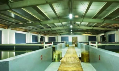 工業重鎮向“綠”轉型 順德三年行動計劃，以軟件開發賦能現代農業高地建設